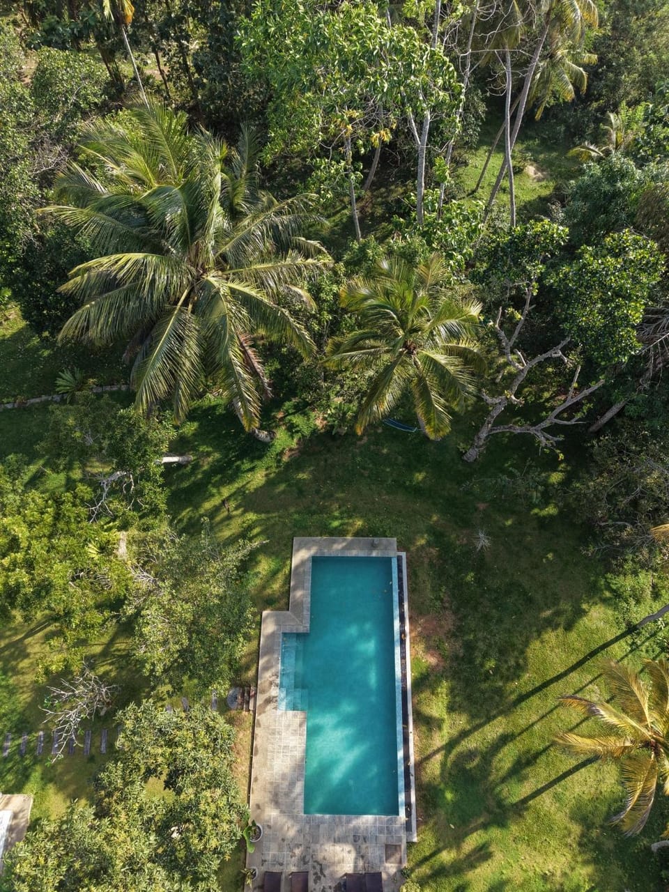 Natural landscape, Garden, Garden view, Pool view, Swimming pool, sunbed