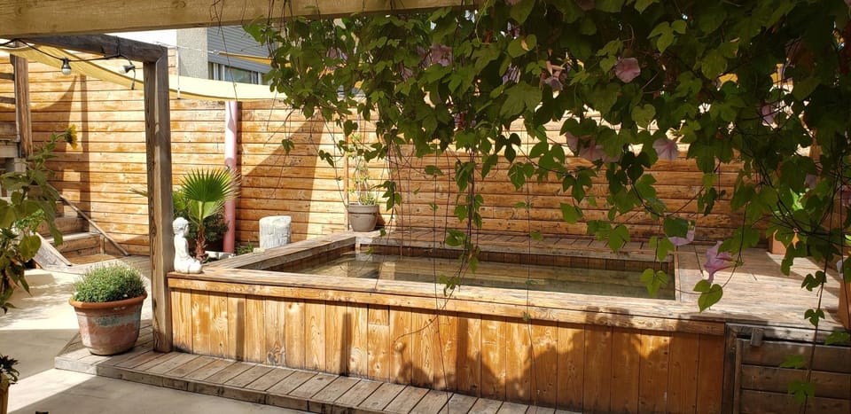 Piscine, 3 chbs, terrasse, vue mer Apartment in Palavas-les-Flots