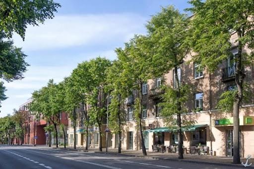 Day, Neighbourhood, Street view, Location