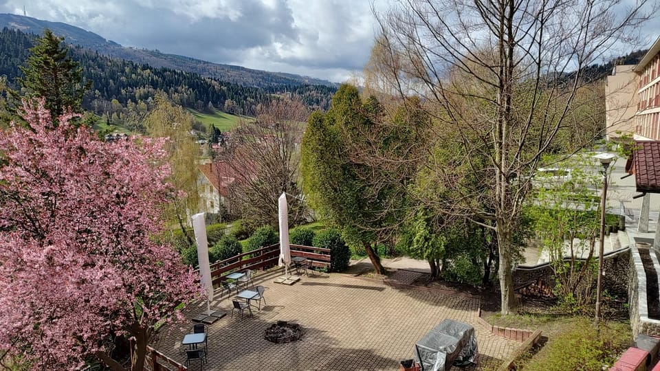 Spring, Neighbourhood, Natural landscape, Garden, View (from property/room), Mountain view