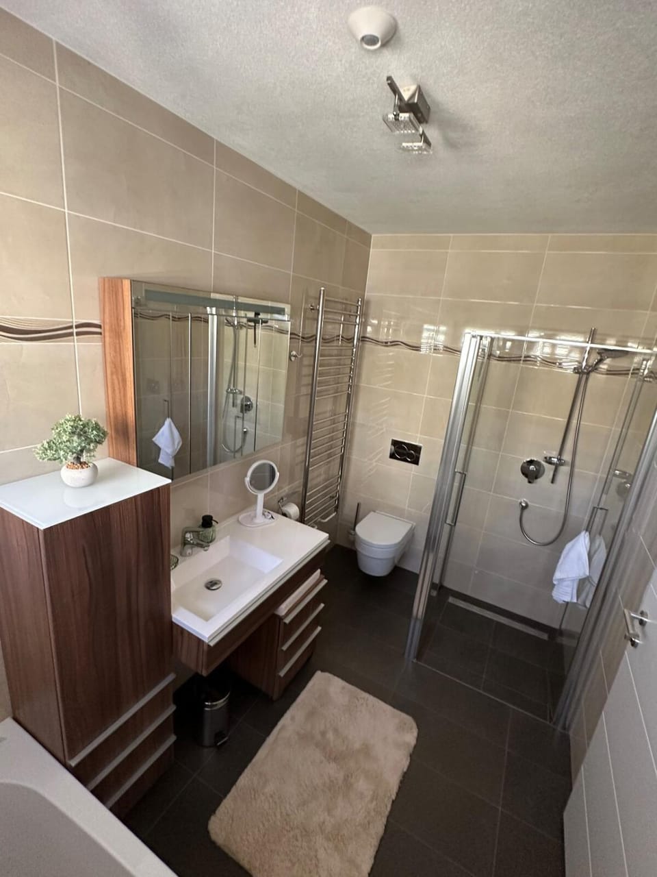 Shower, Toilet, Bathroom, Bath