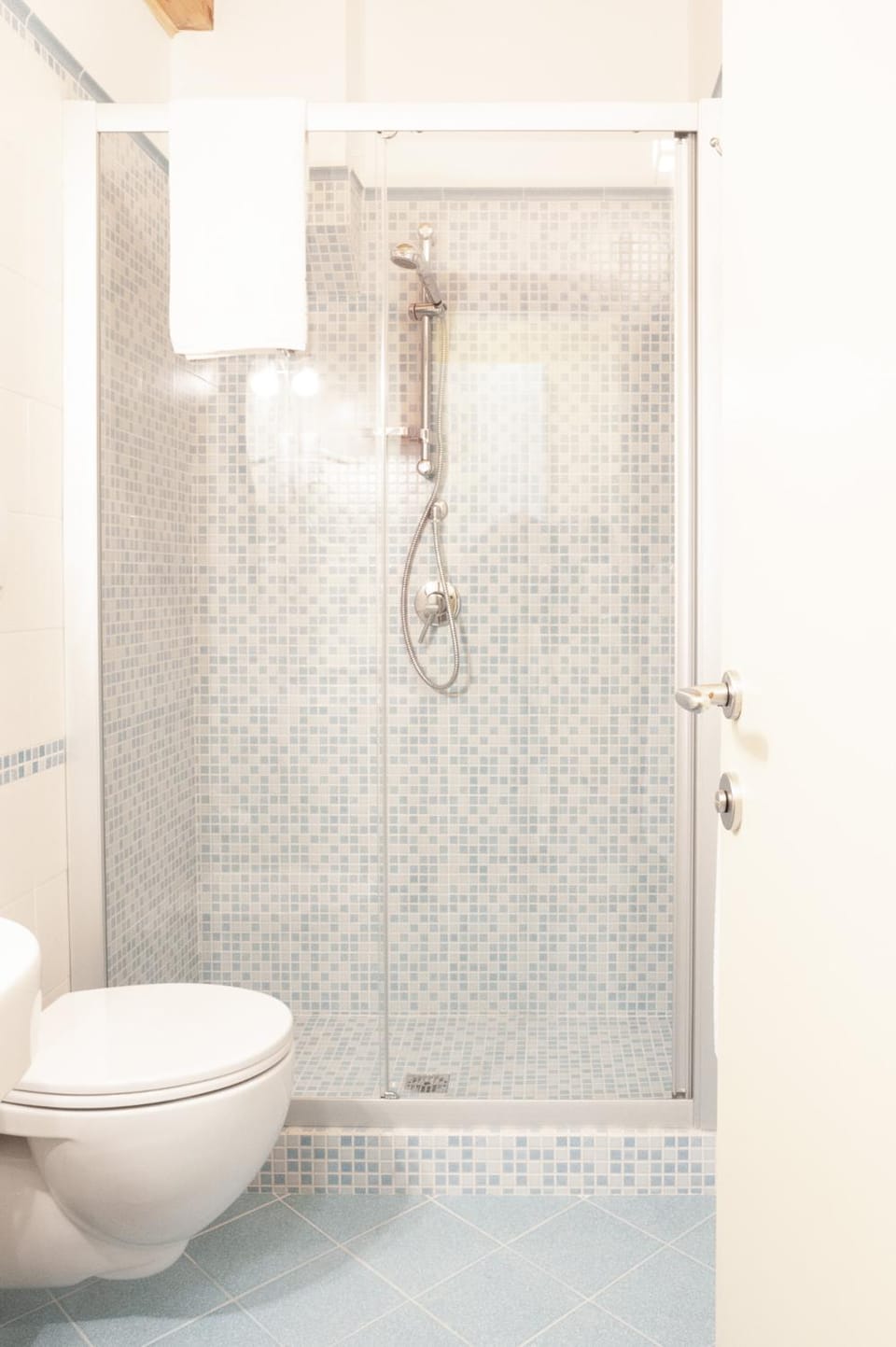 Shower, Toilet