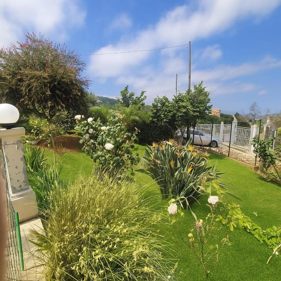 Day, Natural landscape, Garden, Garden view