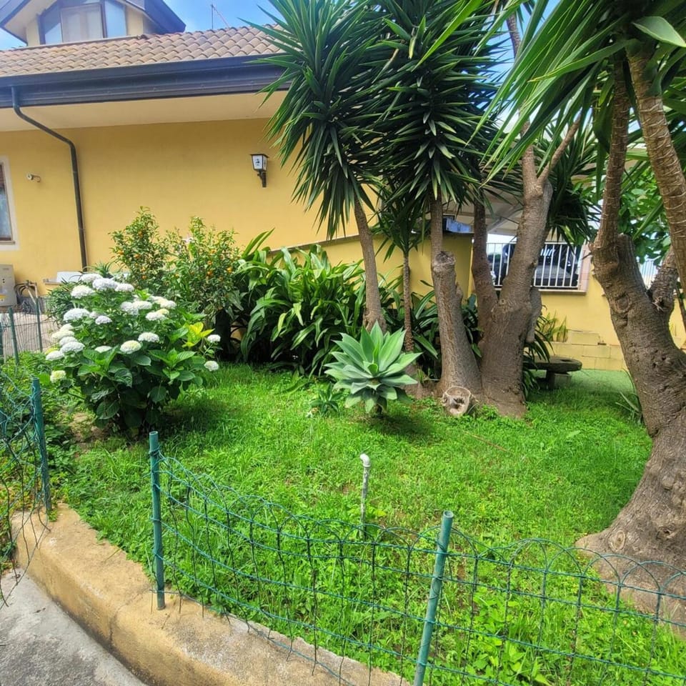 Property building, Natural landscape, Garden view