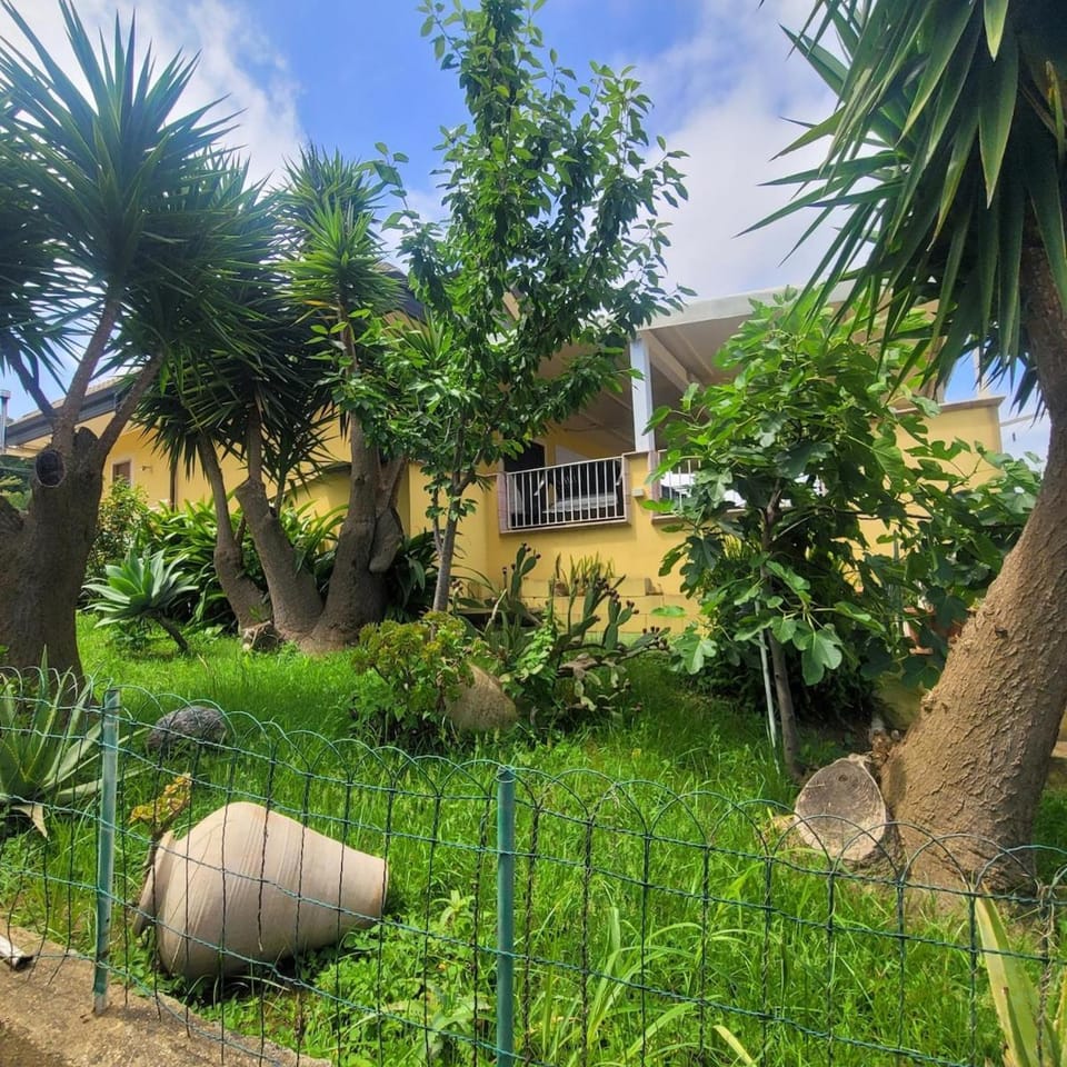 Property building, Natural landscape, Garden view