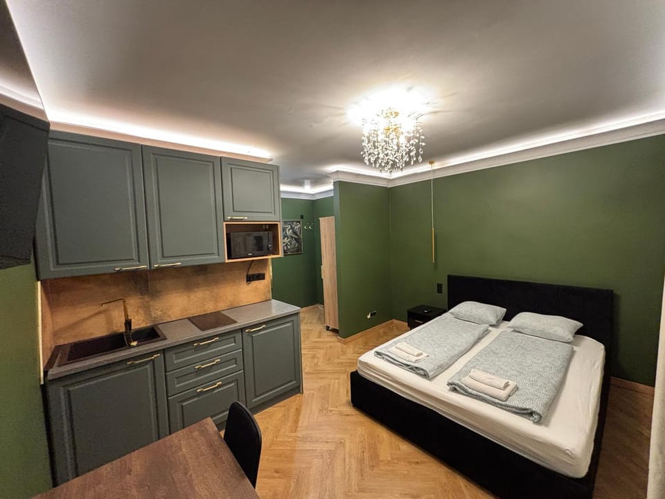 Bed, Kitchen or kitchenette, Photo of the whole room, Bedroom, stove