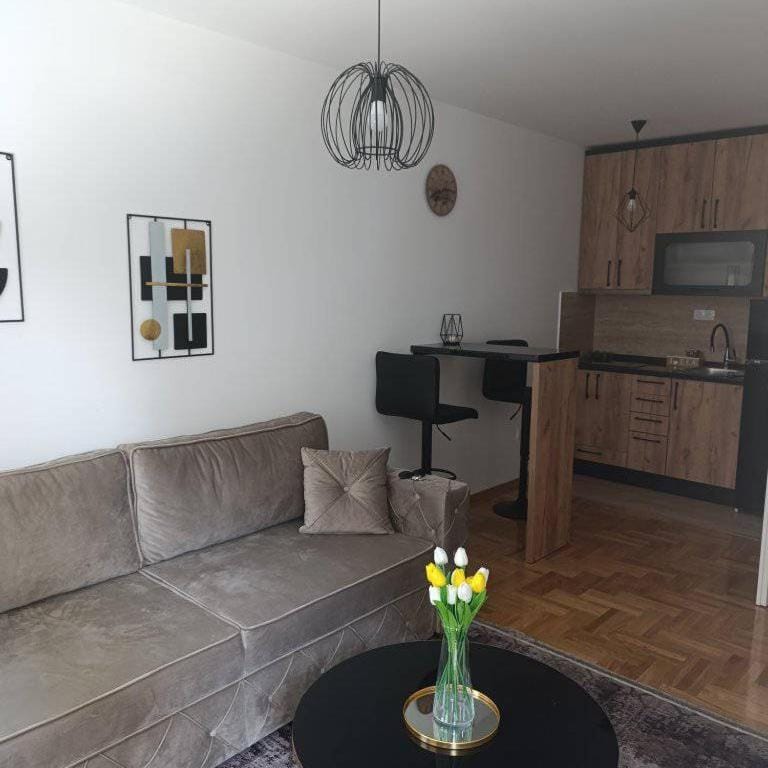 Sunny stan na dan Apartment in Vojvodina