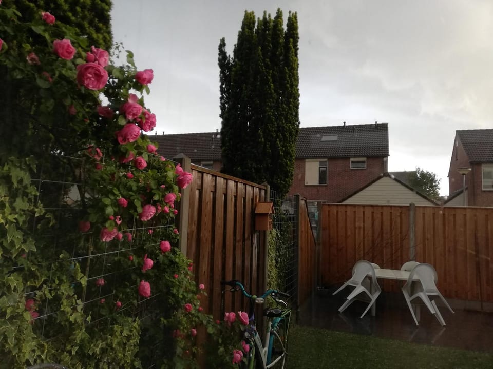 Garden, Garden view