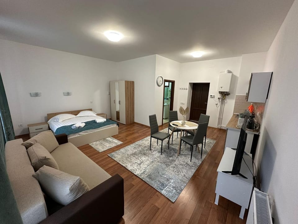 Hermannstadt Zentrum Studio Apartment in Sibiu
