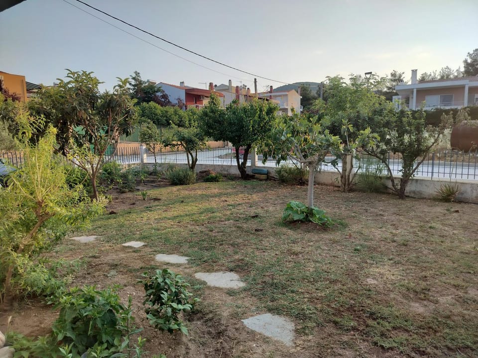 Day, Garden, Garden view