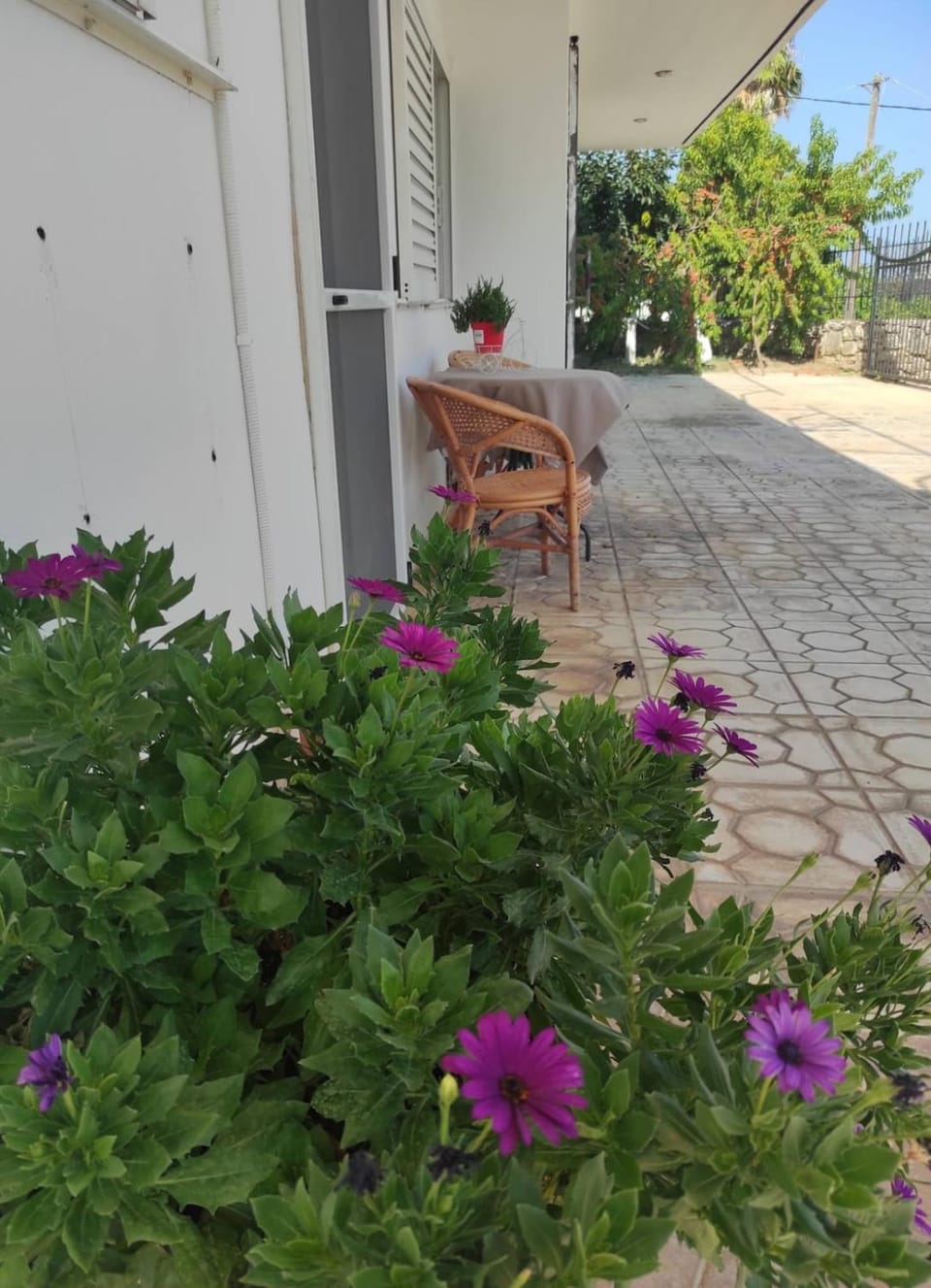 Garden, Garden view