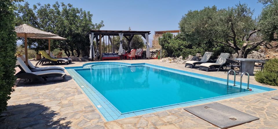 Day, Garden, Pool view, Swimming pool, sunbed