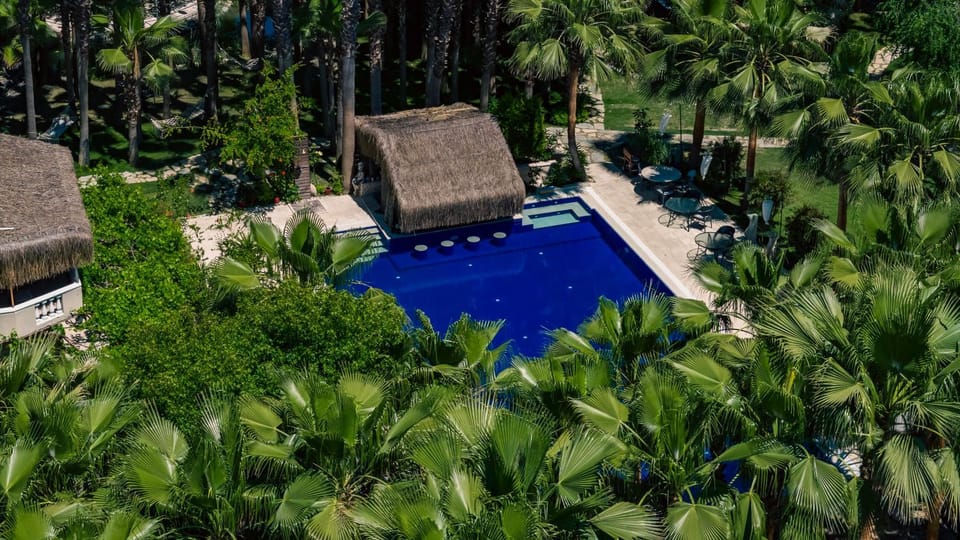 Natural landscape, Garden view, Swimming pool