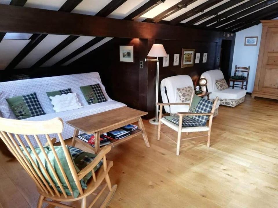 Central Location Cozy 3 BR Flat in Gstaad Apartment in Saanen