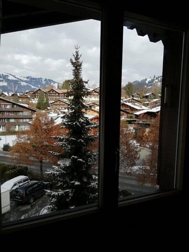Central Location Cozy 3 BR Flat in Gstaad Apartment in Saanen