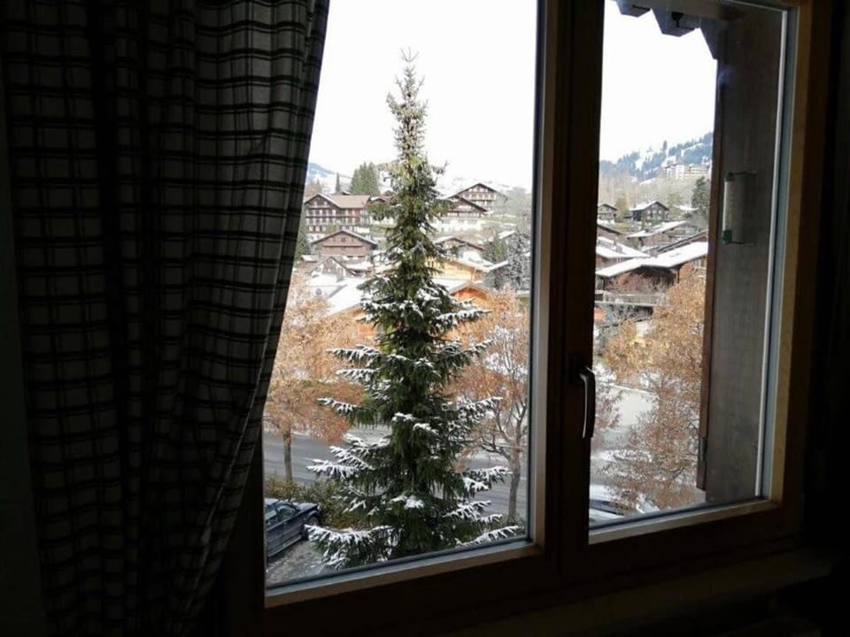Central Location Cozy 3 BR Flat in Gstaad Apartment in Saanen