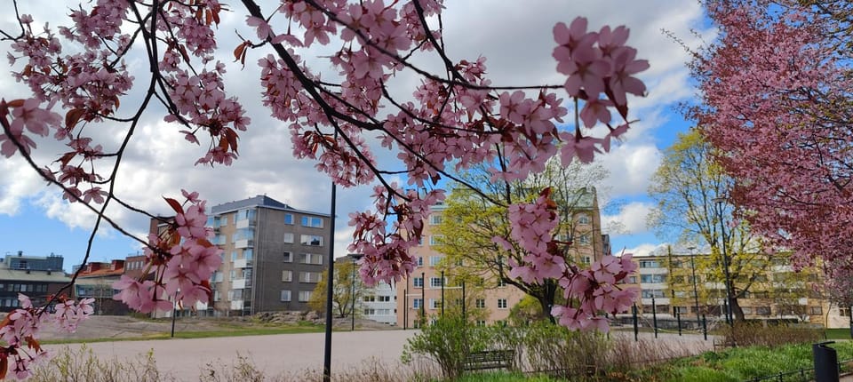 Spring, Day, Natural landscape, Garden, Garden view