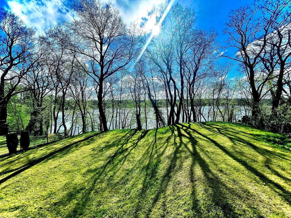 Spring, Natural landscape, Garden, Garden view, Lake view