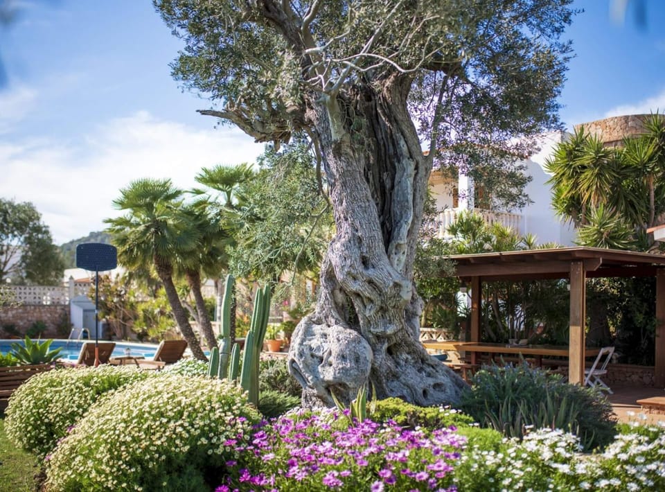 Spring, Day, Garden, Garden