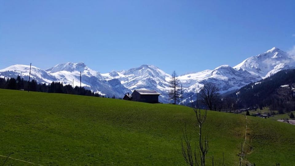 Stunning Gstaad Apartment With Mountain Views Apartment in Saanen
