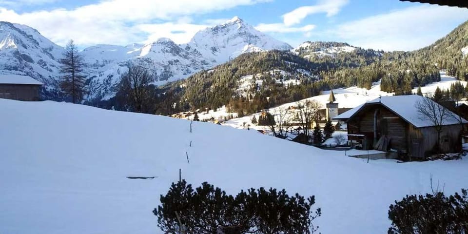 Stunning Gstaad Apartment With Mountain Views Apartment in Saanen
