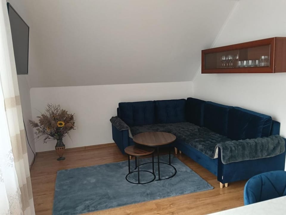 Sanockie Zacisze Apartment in Poland