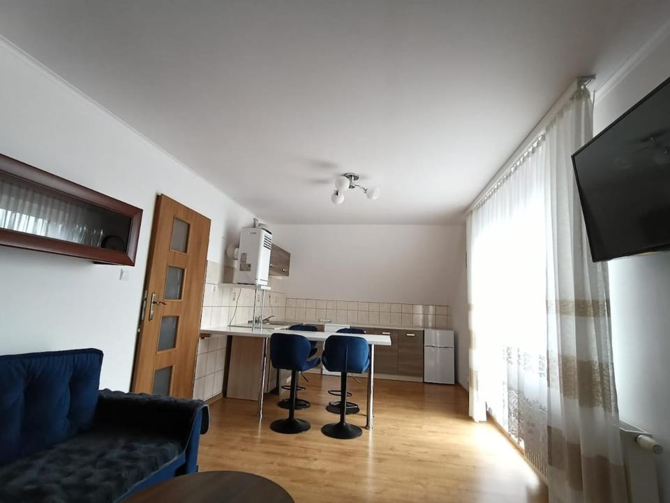 Sanockie Zacisze Apartment in Poland