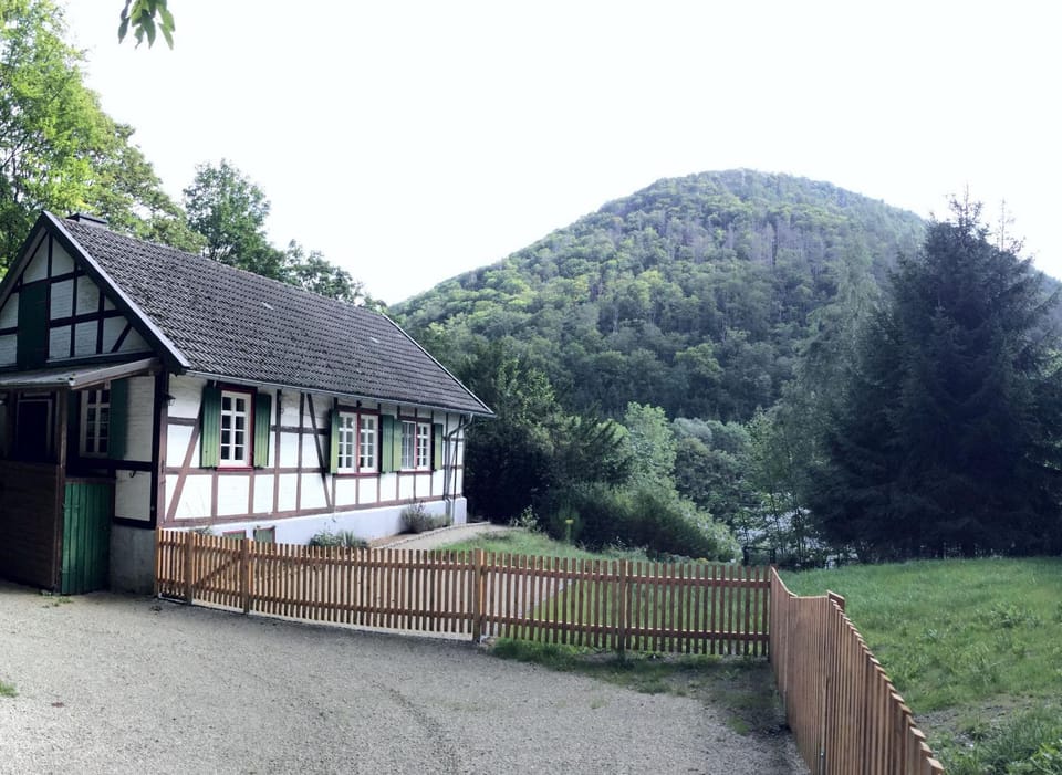 Mountain view