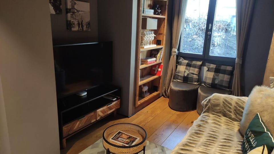 Modern and Bright Apartment in Gstaad Centre Apartment in Saanen