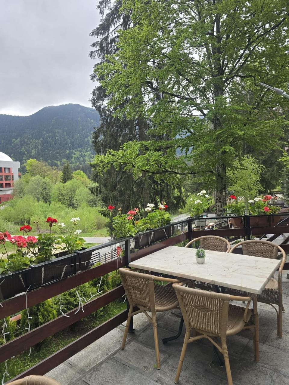 Vila Cristalfrost Bed and Breakfast in Brasov