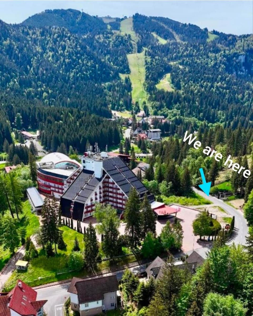 Vila Cristalfrost Bed and Breakfast in Brasov