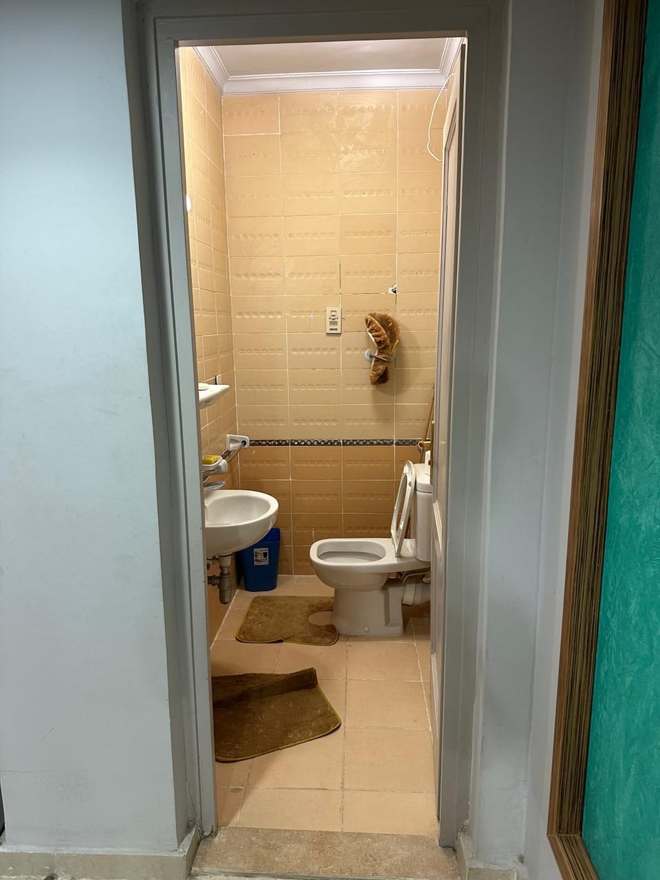 Shower, Toilet, Bathroom, Bath