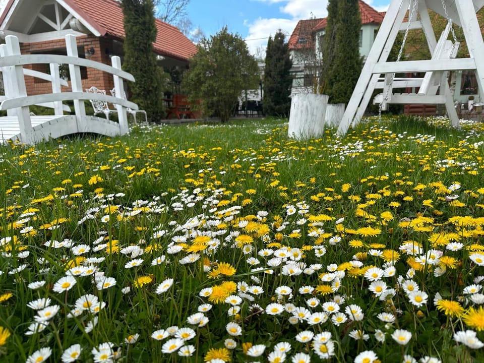PENSIUNE RESTAURANT POIANA AVRIGULUI loc de joaca pentru copii Bed and Breakfast in Romania