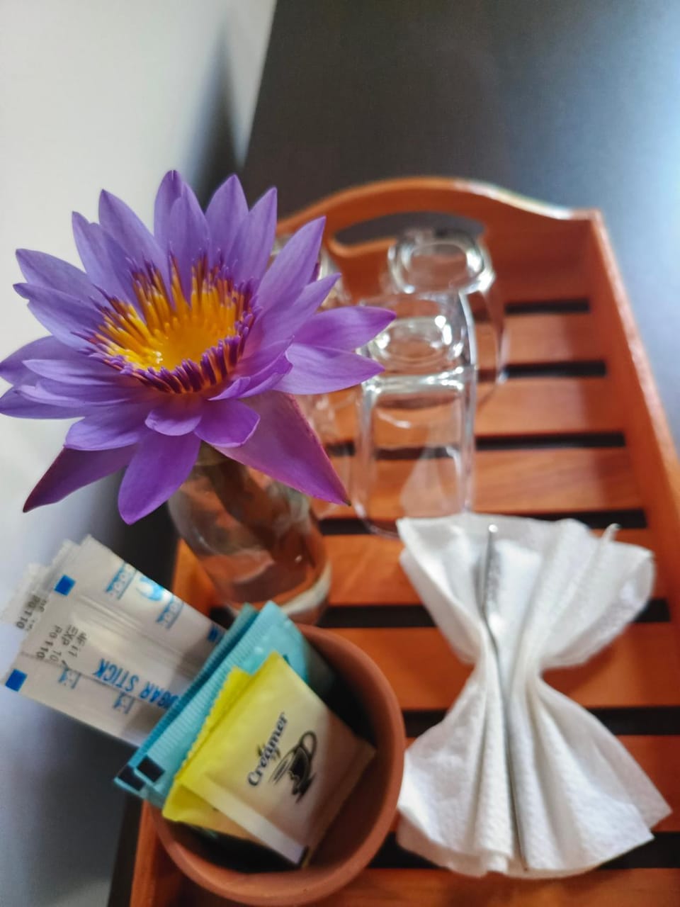 Bawana Luxury Bungalow Bed and Breakfast in Sri Lanka