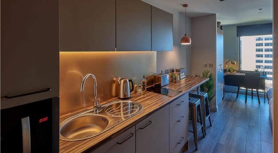 Kitchen or kitchenette