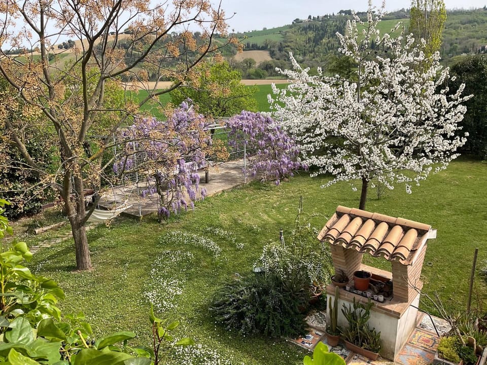 Spring, Natural landscape, View (from property/room), Garden view