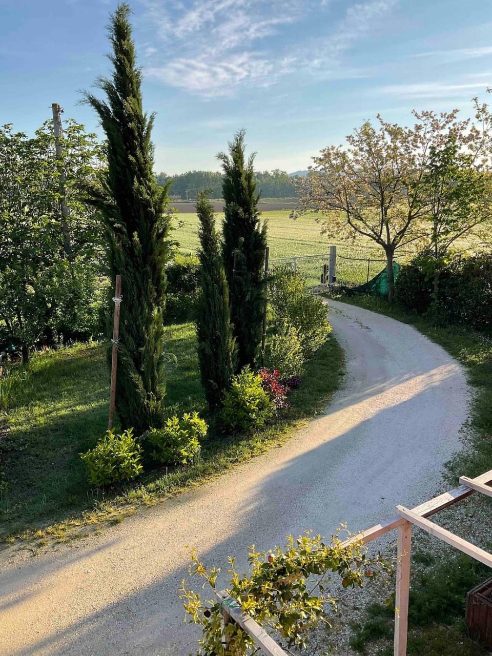 Spring, Garden, Garden view