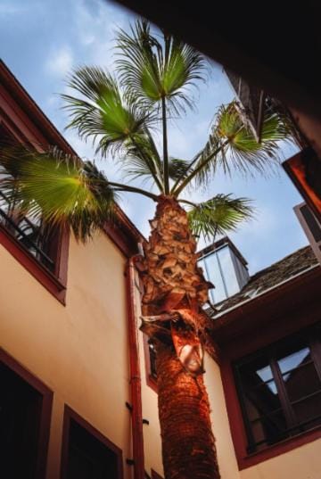 Patio, Balcony/Terrace