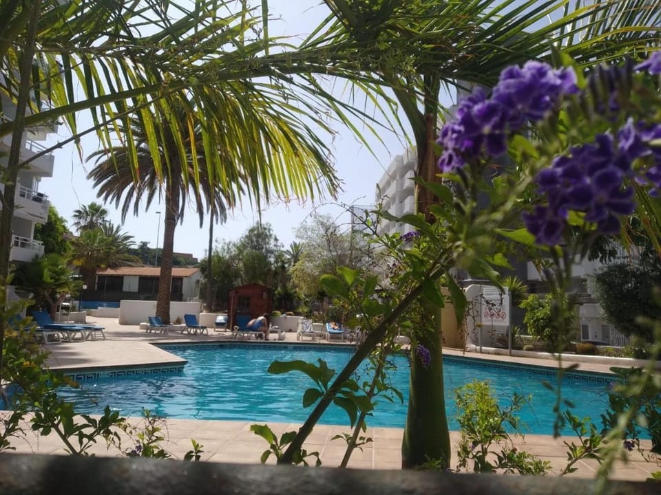 Pool view, Swimming pool, Swimming pool