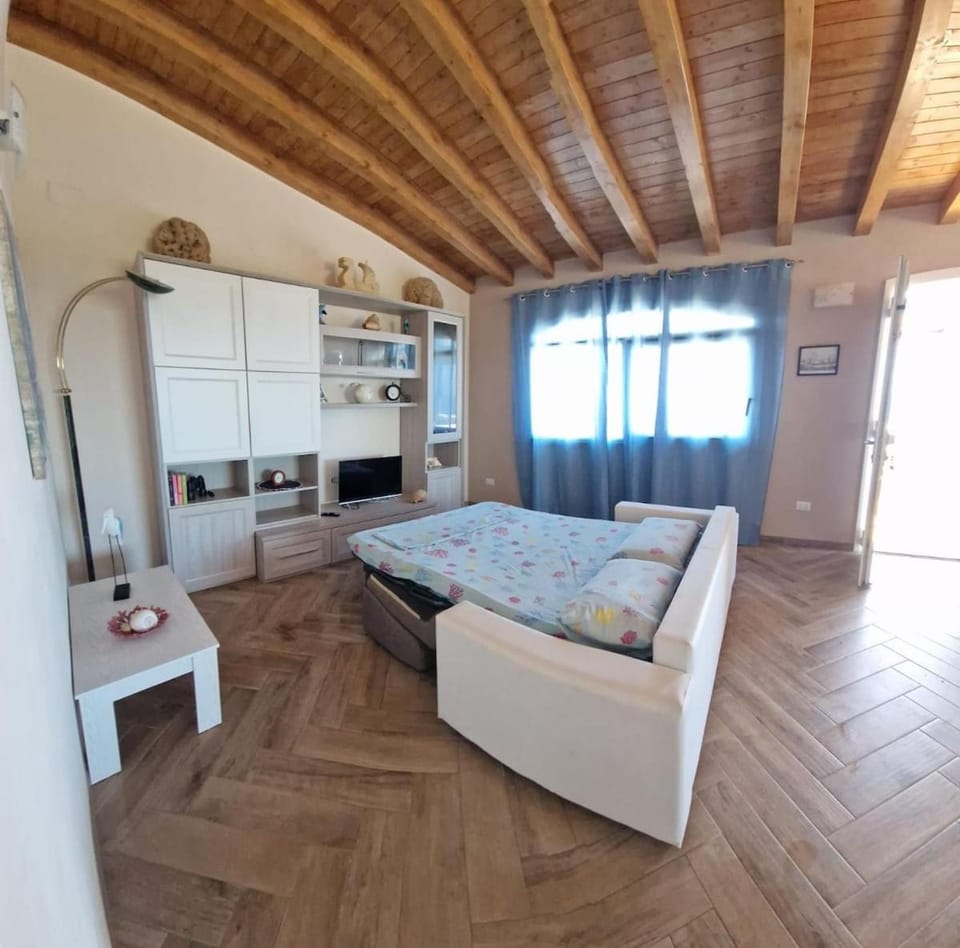 Bed, TV and multimedia, Living room
