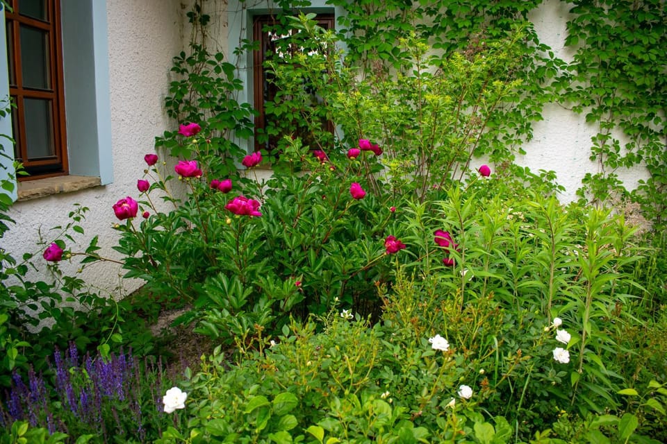Day, Garden, Garden, View (from property/room), Garden view