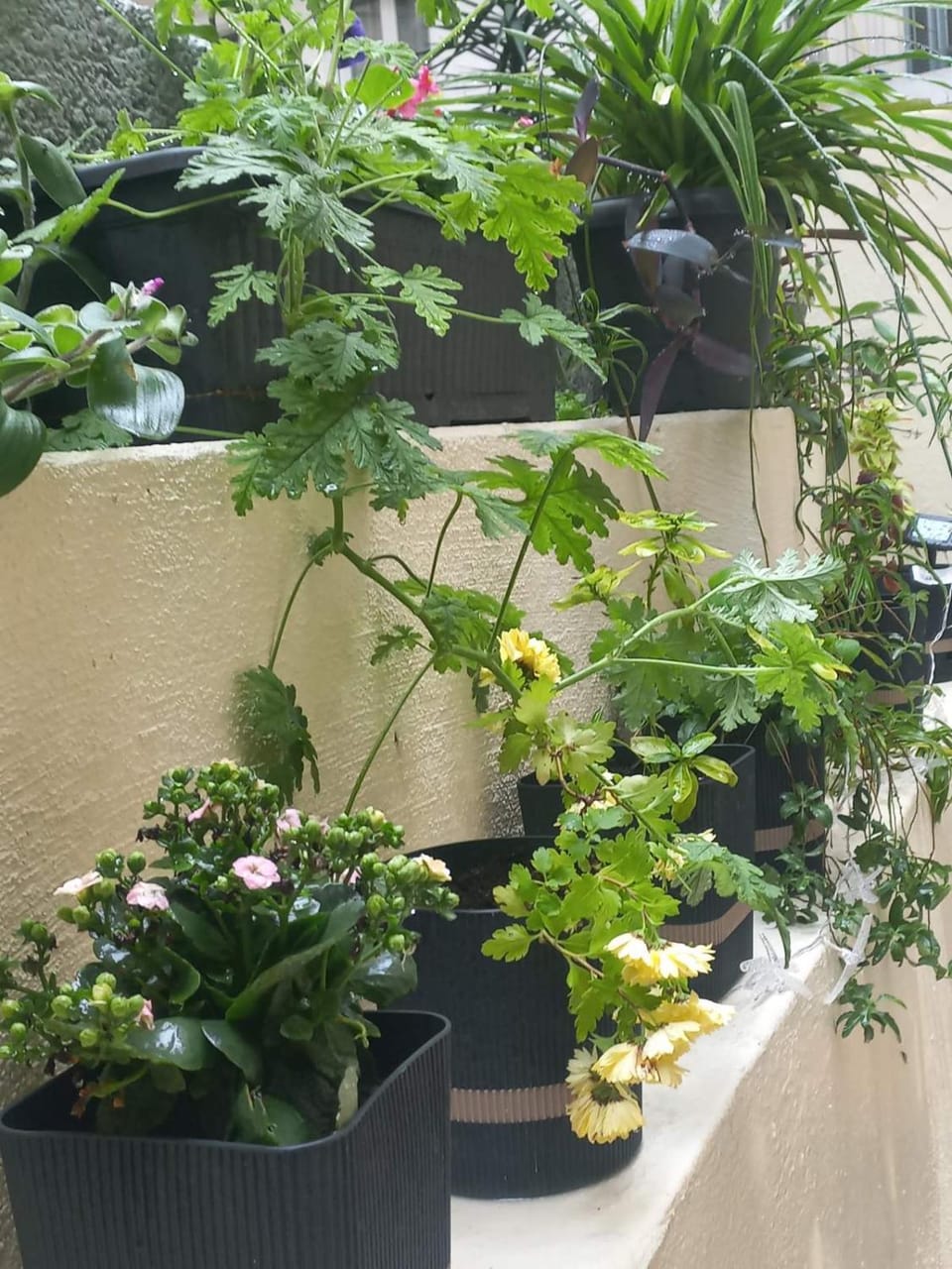 Inner courtyard view