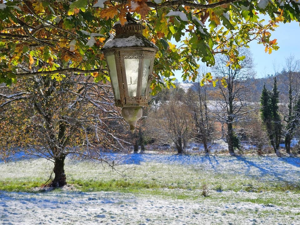Natural landscape, Winter