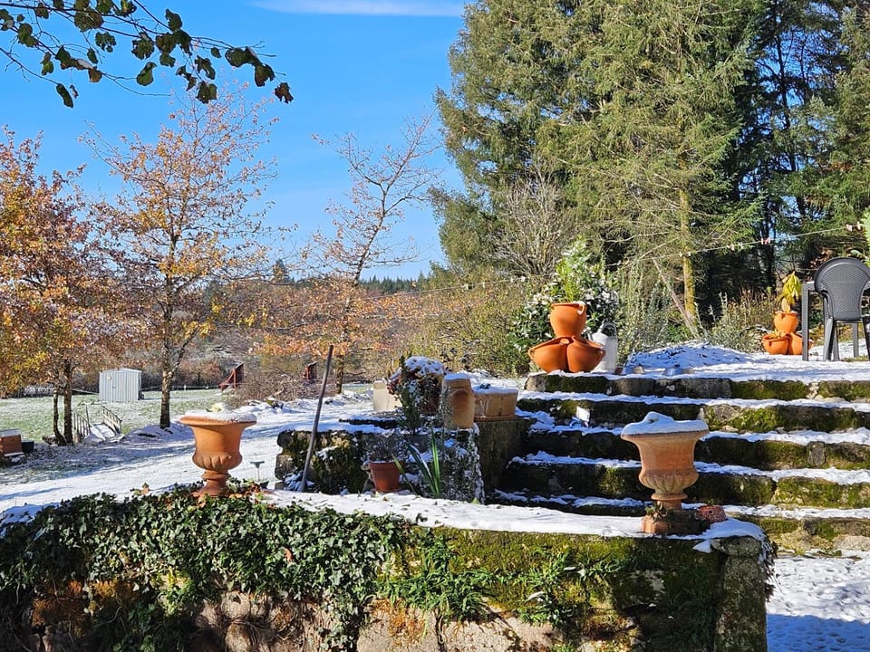 Winter, Garden view