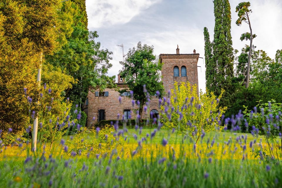 Property building, Natural landscape, Garden, Garden view