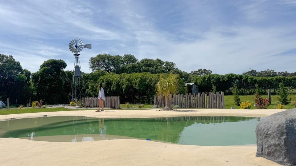 Garden, Swimming pool