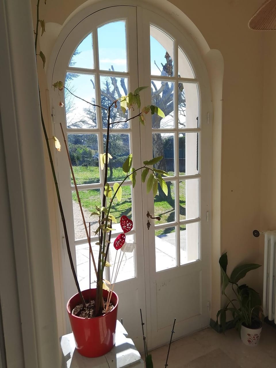 Villa chez magali Villa in Grignan