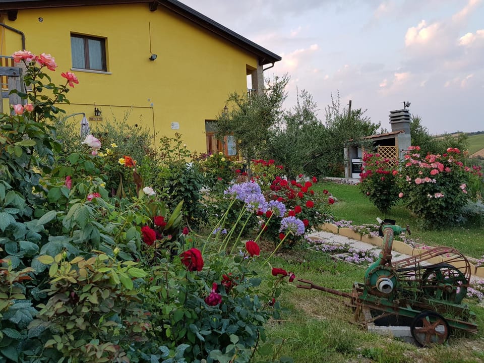 Garden, Balcony/Terrace, Garden view