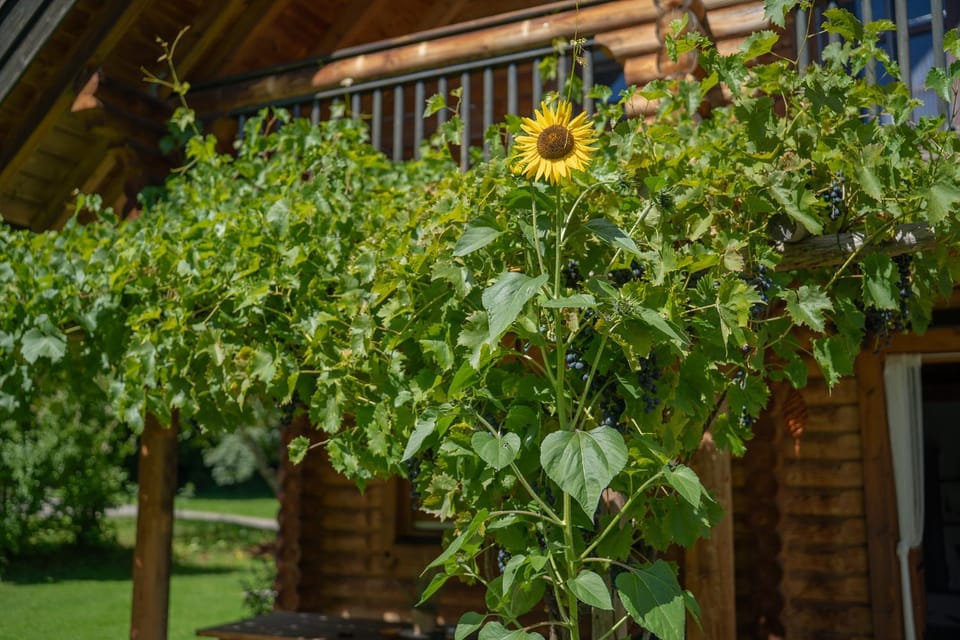 Garden, Garden view