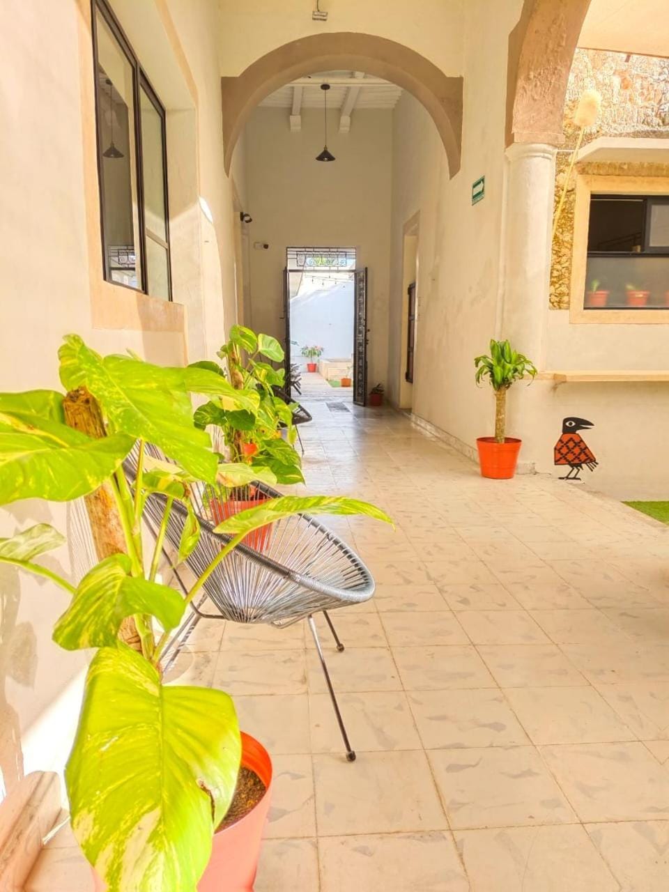 Habitación compartida para mujeres Bed and Breakfast in Merida